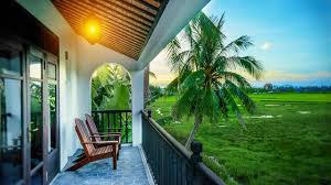 Vietnam Wellbeing Retreat